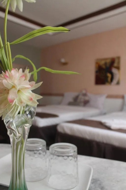 Sajorda River Park Hotel