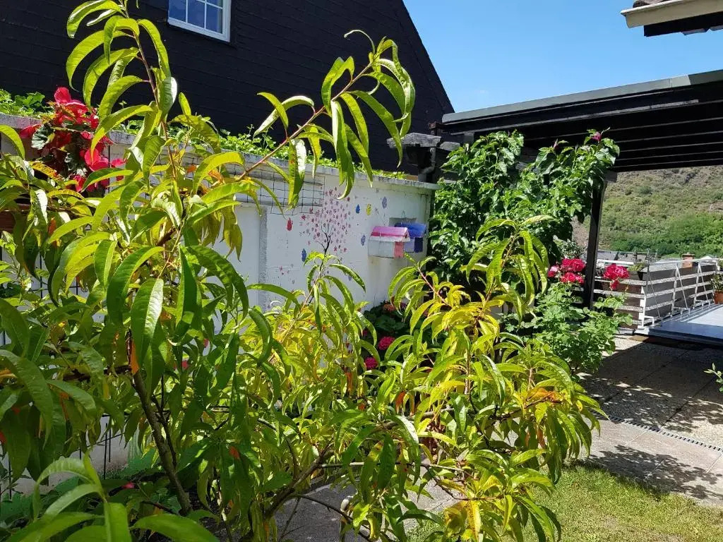 Gartenstudio Anila
