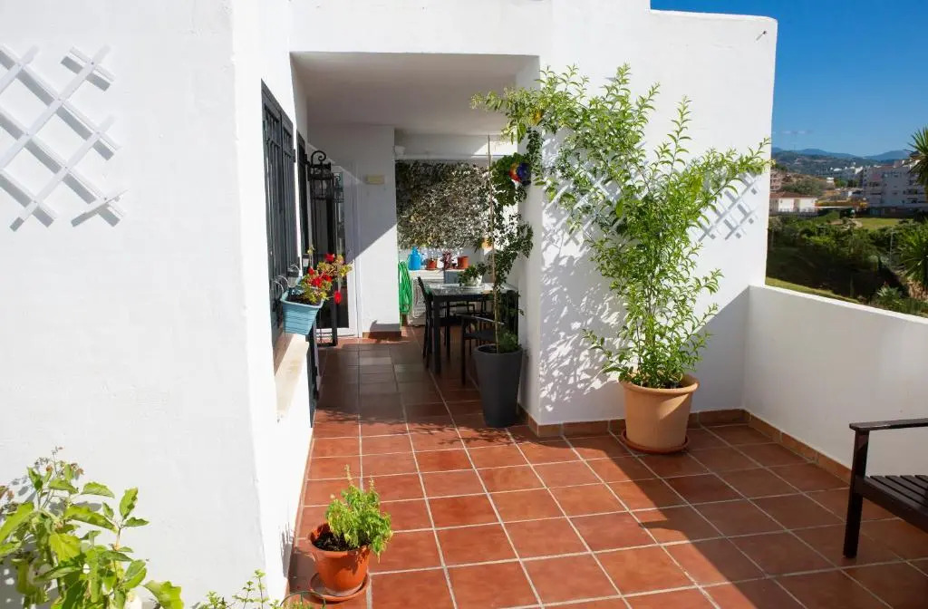Puerto Deportivo Estepona