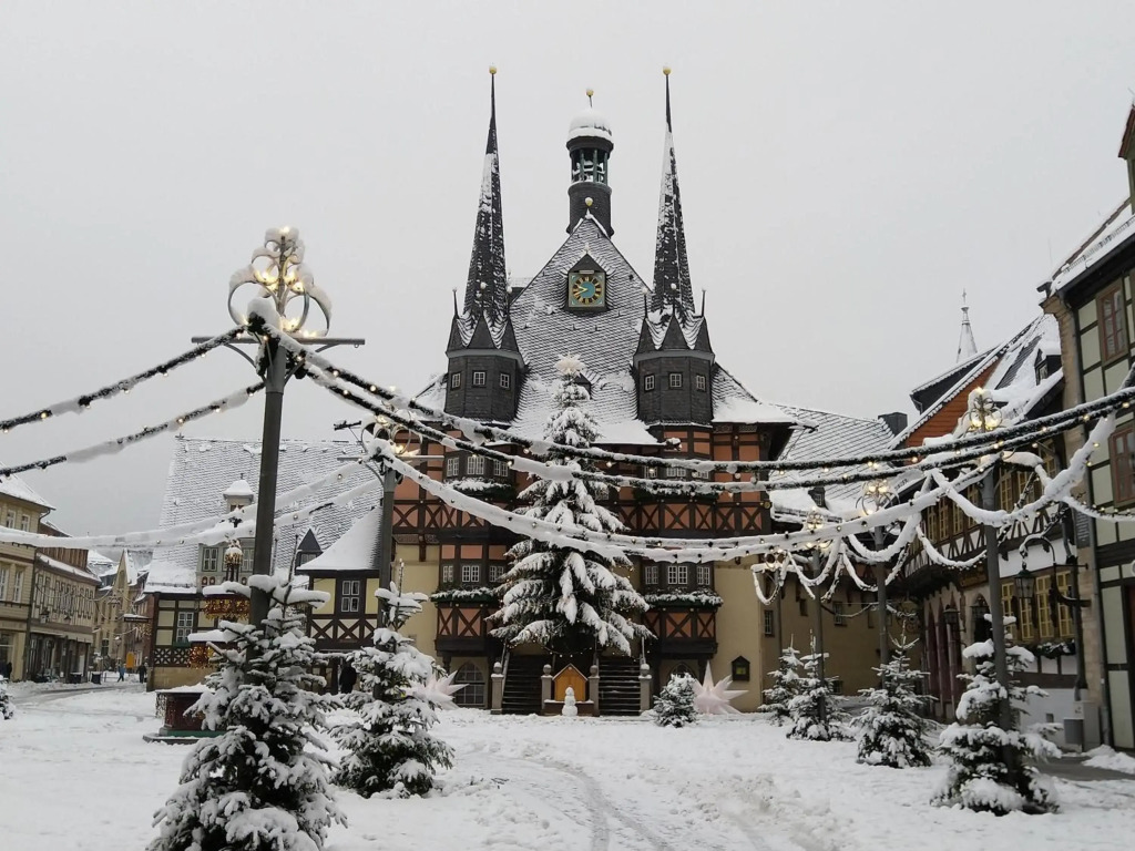 Spatzennest