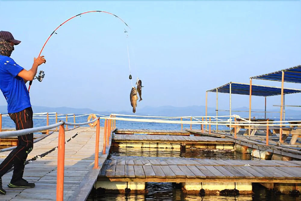 Taean Golden Chive Pension