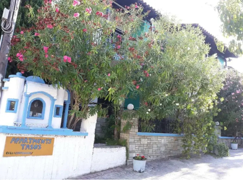 Tassos 2