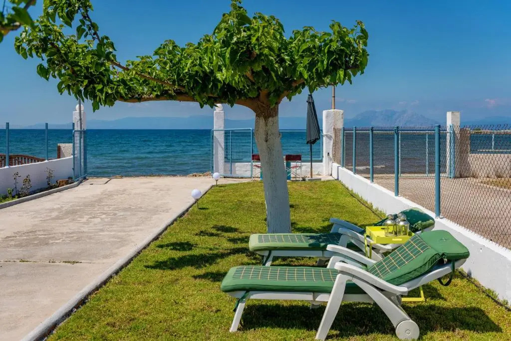 Kiko, the Coastline house