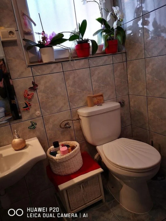 Apartments Bingo / One Bedroom
