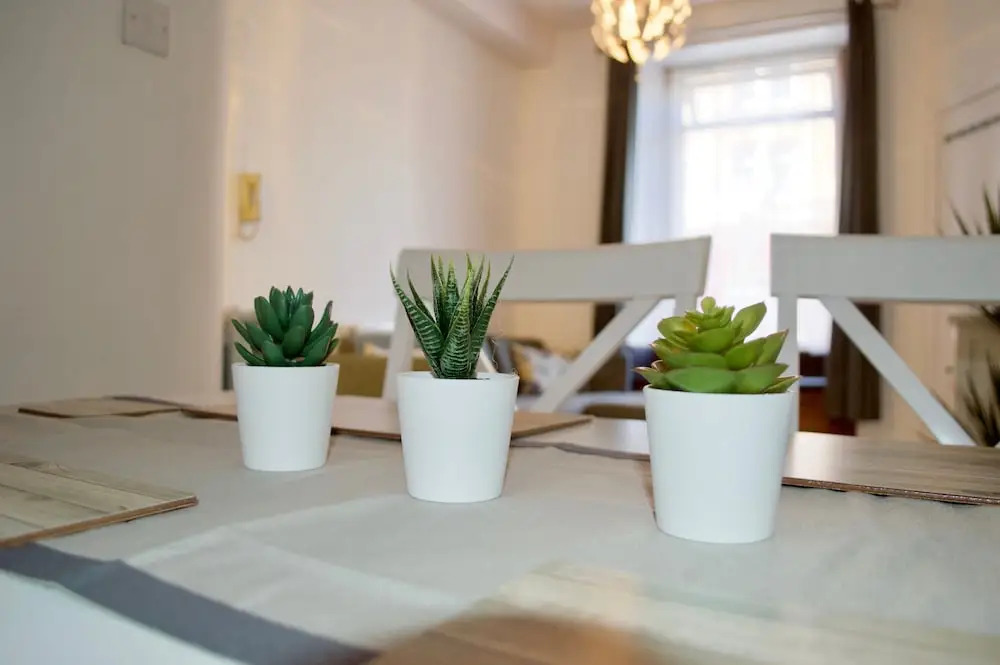Bright And Modern 1 Bedroom Flat