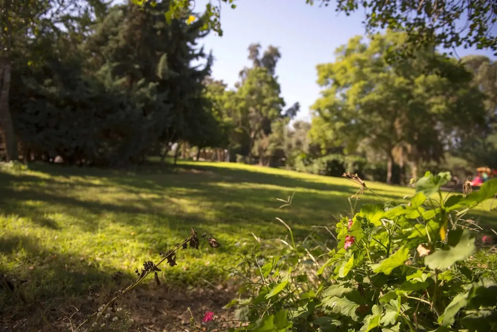 Kibbutz Gvulot Country Lodging
