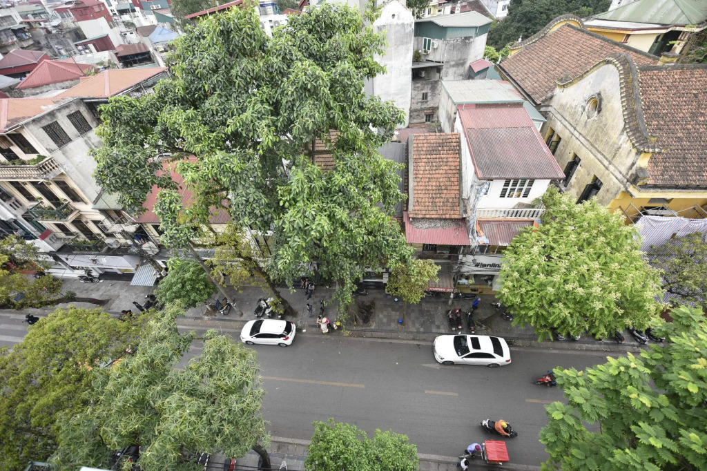 Ibiz City Hostel
