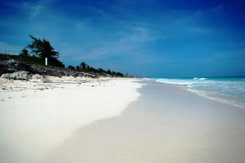 Villa Iguana