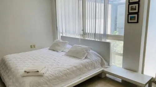 Departamento Lamartine 248 303 Polanco