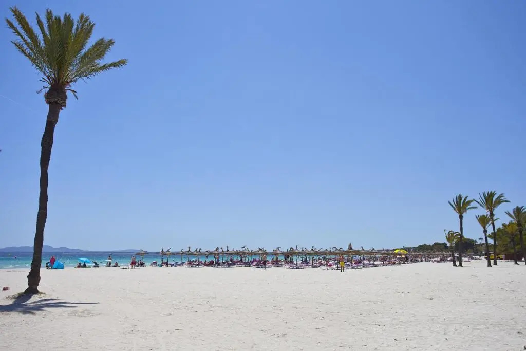 Apartamento Ciutadella 1