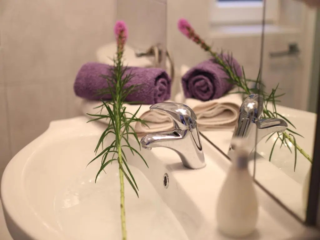 Apartment Liatris