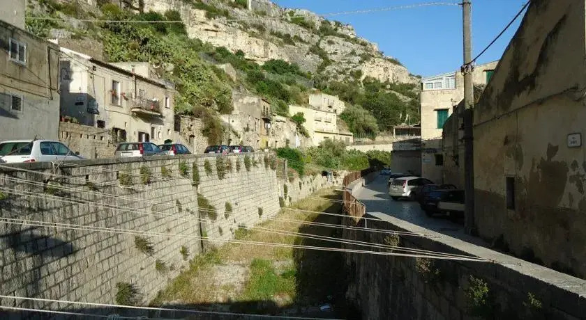 Il Carrubo di Sicilia