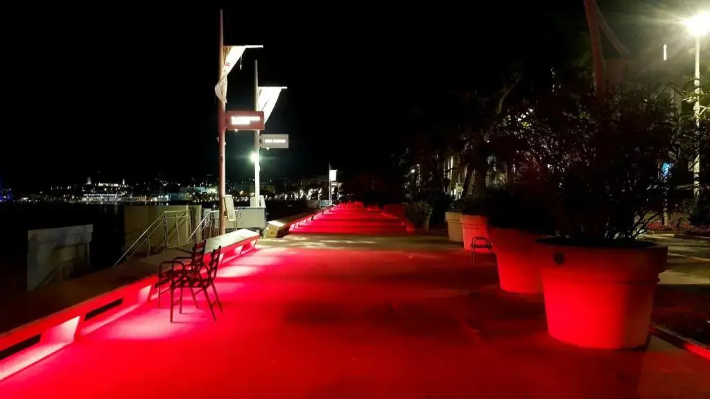 Cannes Toit Et Moi