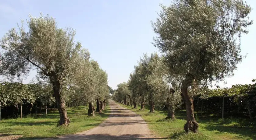 Agriturismo Ali E Radici