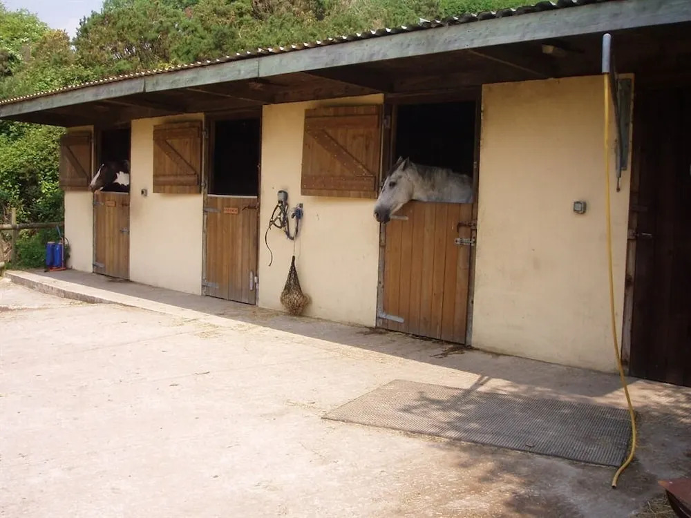 Providence Farm