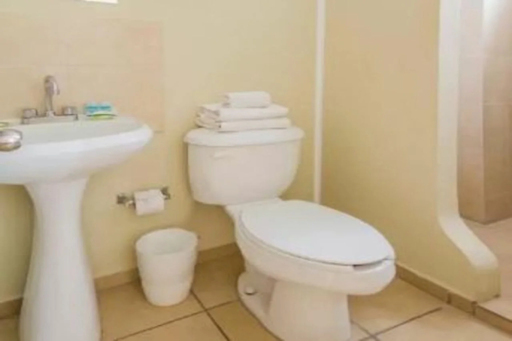 Hotel Mateos 1215