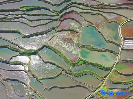 Yuanyang Azheke Colorful Terraced Fields Scenic Homestay (Sisutai)