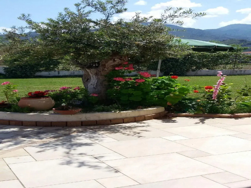 Hotel Villa Senator Mediterraneo