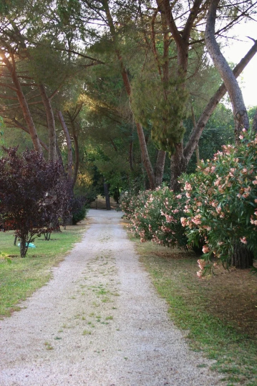 Green Oasis B&B
