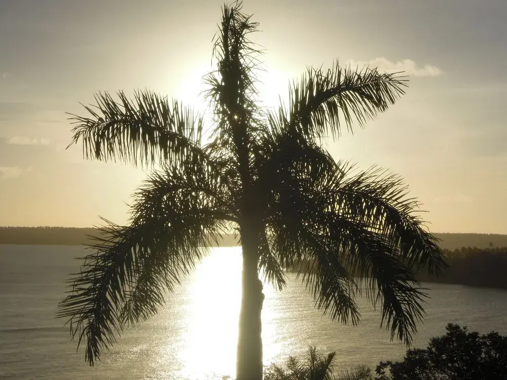 Casa Sunset