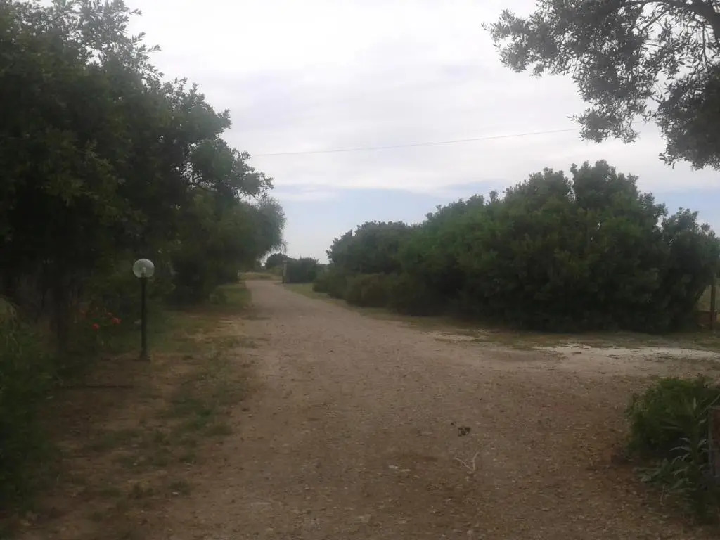 La Contea