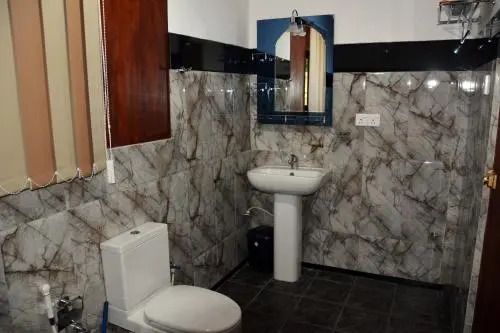 New Greenish Villa