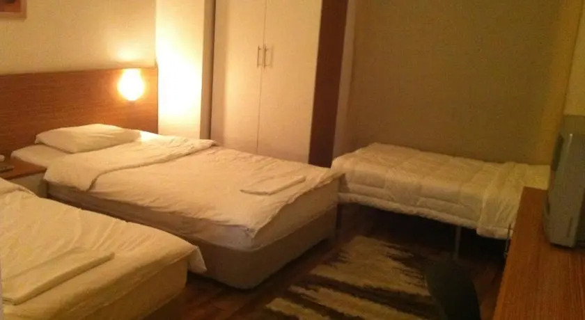 Hotel Arte