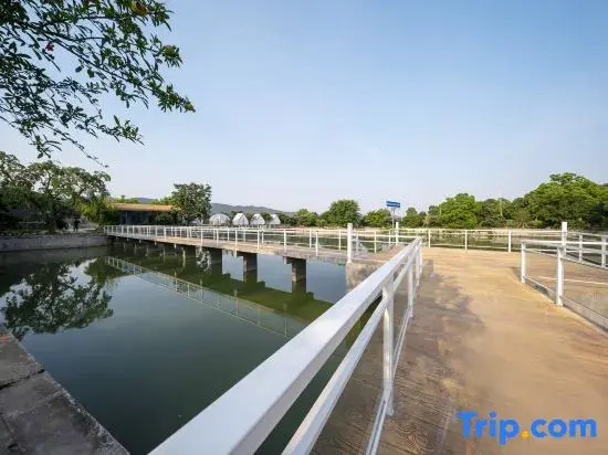 Suzhou · Meet | Tent Camping Designer Meisu B&B (the Taihu Lake Xishan Island Store)