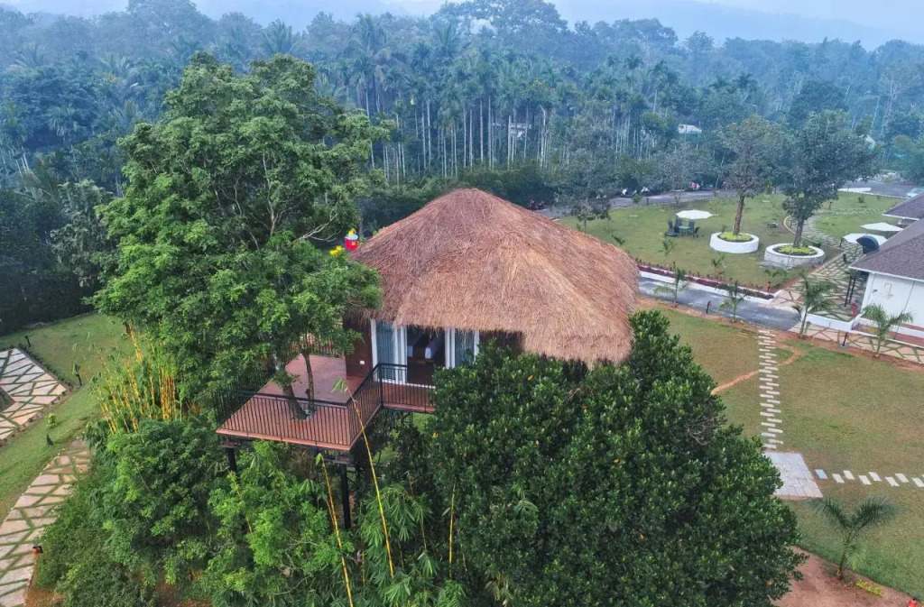 Jungle Bay Resorts & Spa