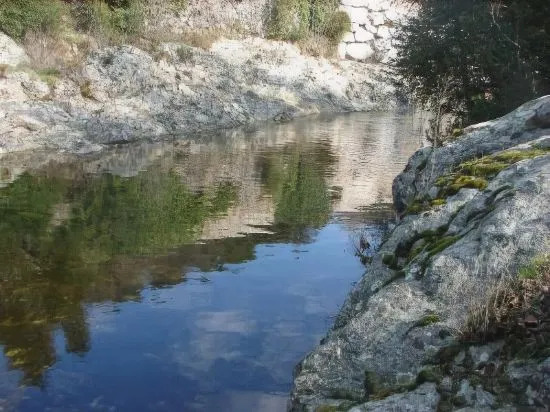 lOgliastru