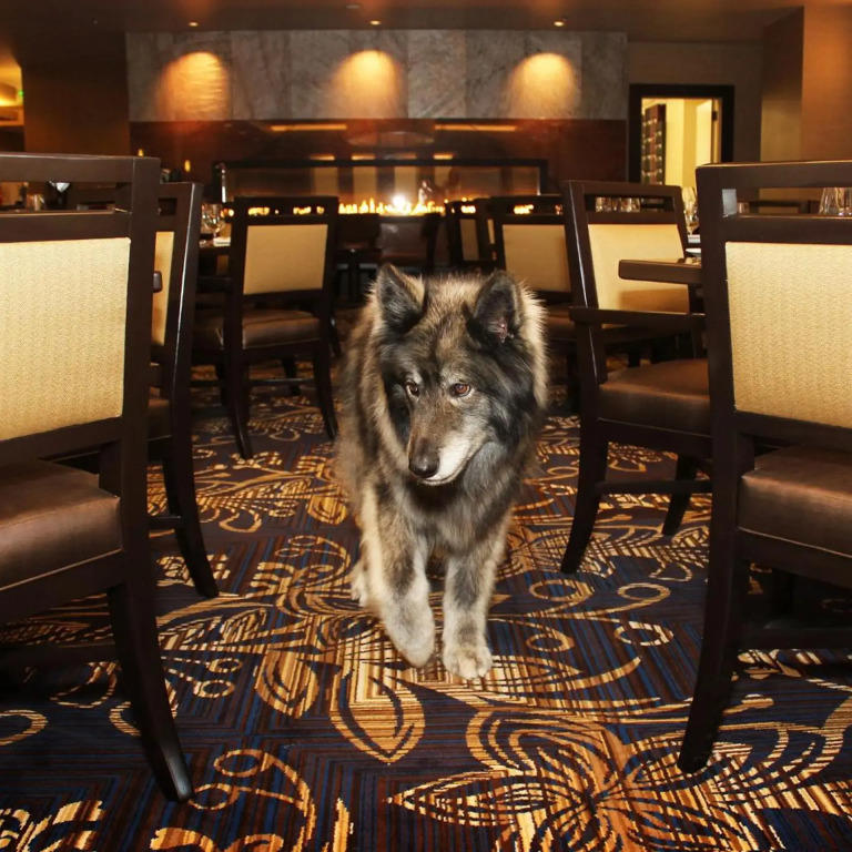 Jackson Rancheria Casino Resort