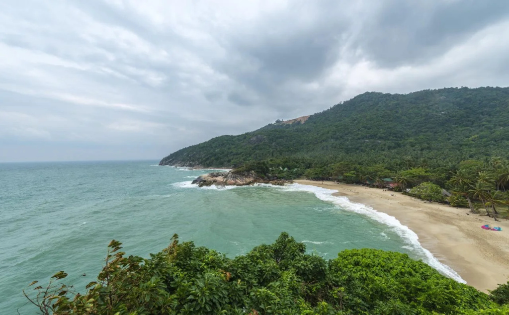 Wild Wood x Hansa Beach Fitness Resort