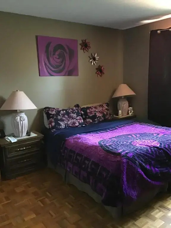 Mariya Studio