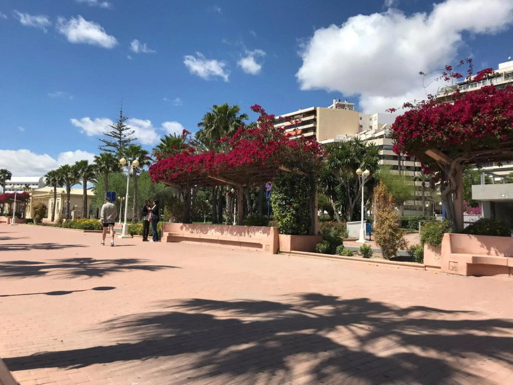 Marina Alicante Apartment - City Center
