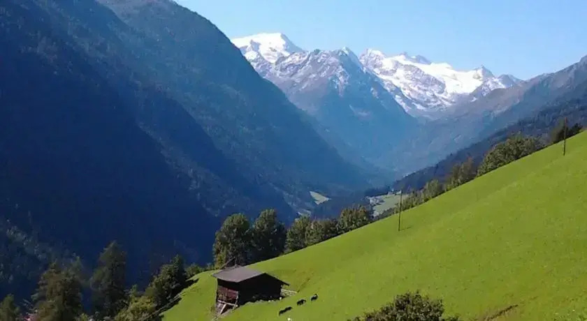 Stubai Apartments