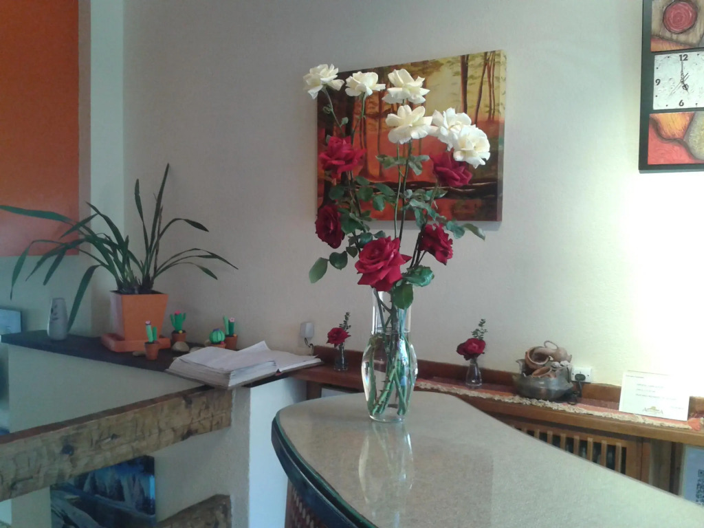 Hotel Aconcagua