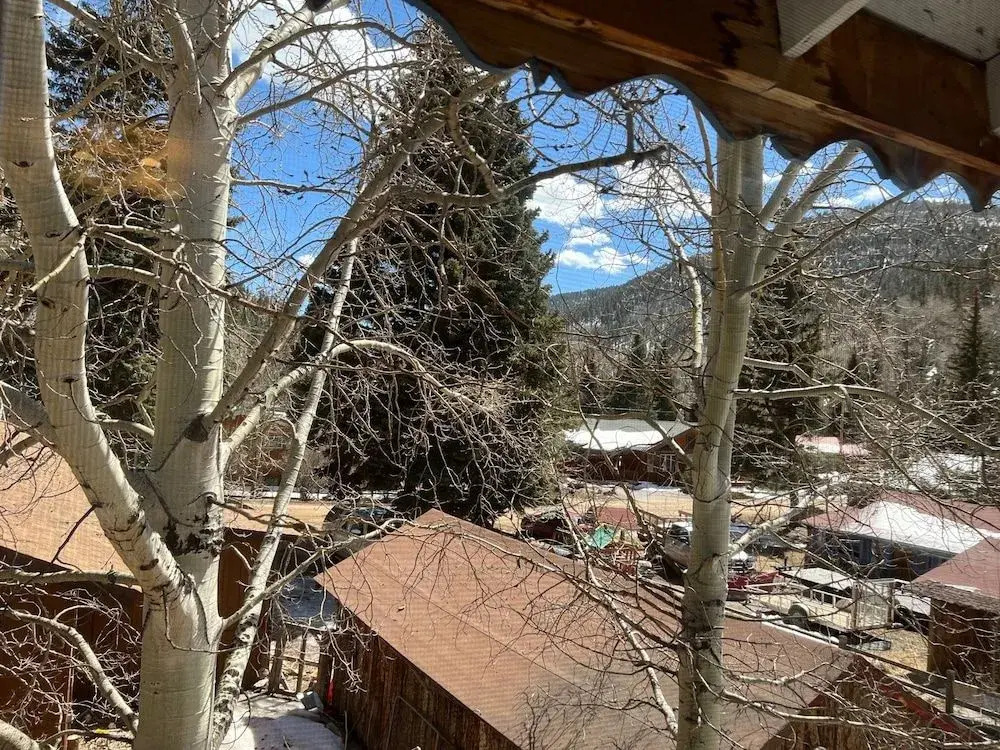 Bellamys Ski Haus