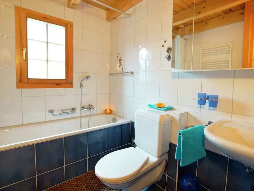 Chalet Alpina