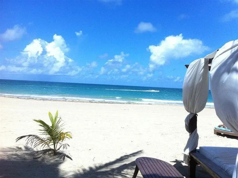 The Beach House Hotel