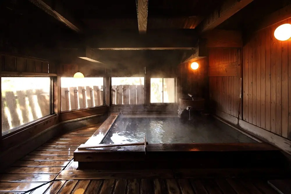 Oyado Noshiyu Onsen Ryokan