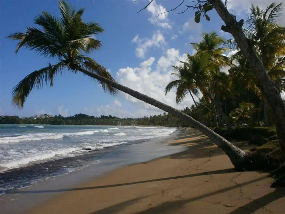 Hotel Boutique Casa Grande By Playa Bonita