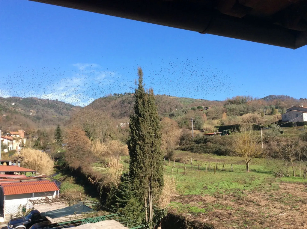B&B e Locazioni Turistiche Antico Borgo Toscano