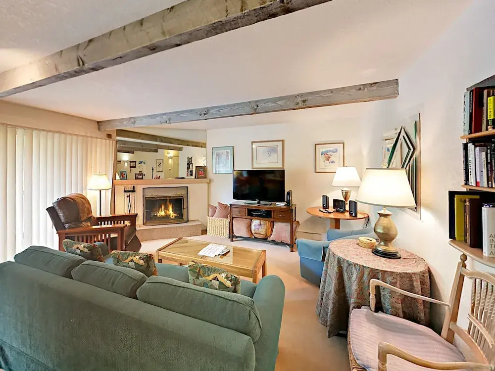 Cozy Condo in Snowmass Village