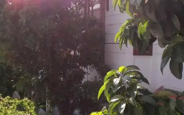 Minh Chau Hostel