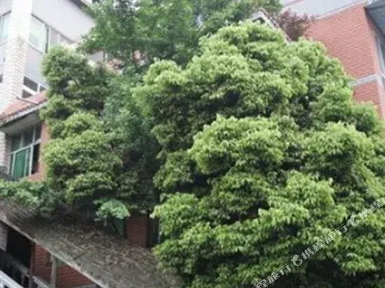 Jinquan Hostel