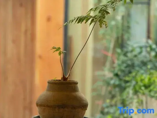 Wuxi Village Banzhuyuan Homestay (Lingshan Giant Buddha Nianhuawan Branch)