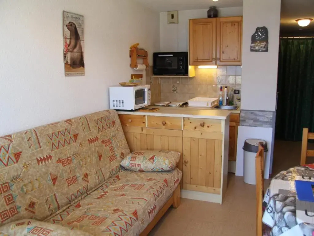 Appartement La Clusaz, 1 pièce, 4 personnes - FR-1-459-102