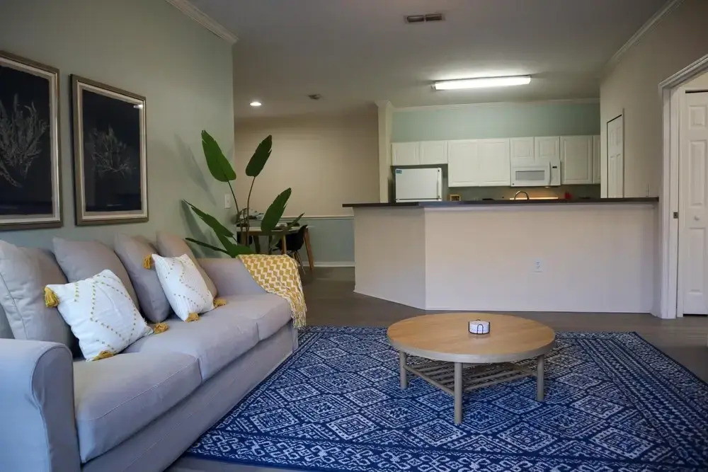 Upgraded 2 bed apt close to beaches and Mayo Clinic!