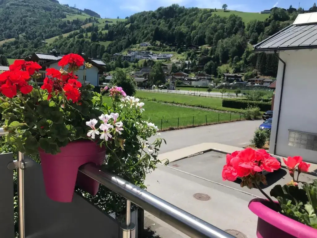 Art Apart Nomay Summercard Blick Top of Salzburg