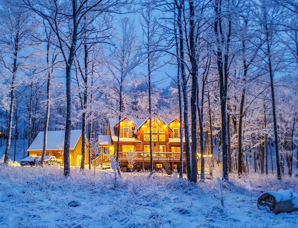 Big Log Lodge